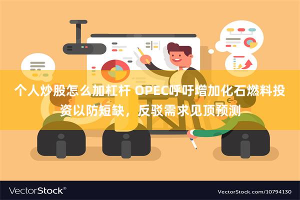 个人炒股怎么加杠杆 OPEC呼吁增加化石燃料投资以防短缺，反驳需求见顶预测